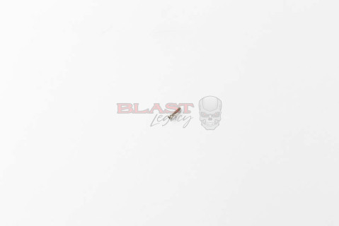 Gen 1 & 2 Intimidator Trigger Micro Switch Screw