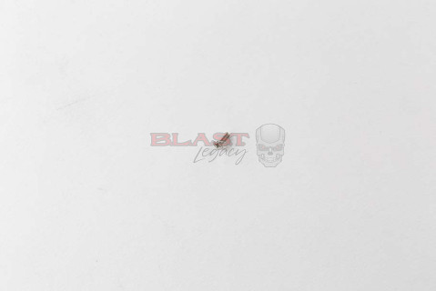 Eye Cover Mounting Screw