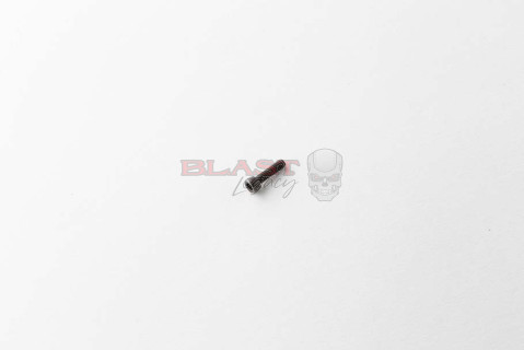 Gen 2 Marq LED ASA (early version) Retaining Screw