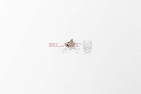 Gen 2 Marq & HK Marq Grip Frame Screw