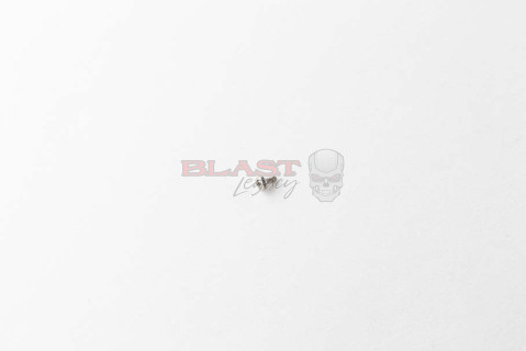 Lower Main OLED Board Mounting Screw