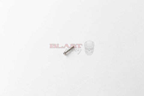 Upper Main OLED Board Mounting Screw