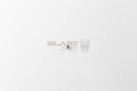 Gen 1 Marq Back Block to Ram Housing Screws