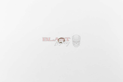 Gear Drive Retaining Ring