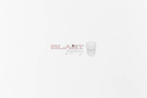 Gen 6 Intimidator Bolt Pin Detent Ball